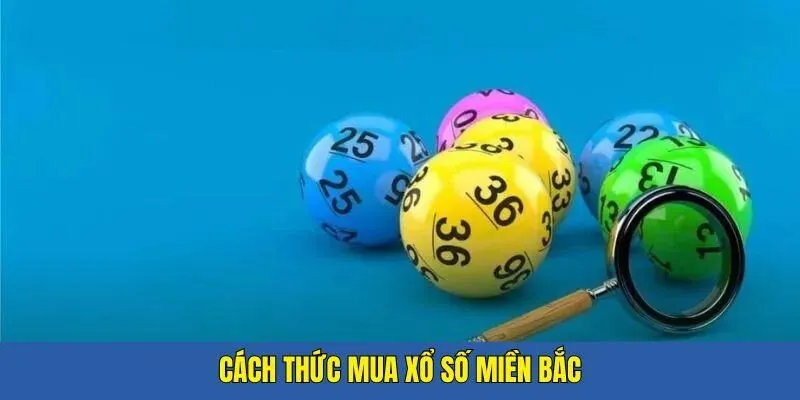 Đa dạng hình thức cược xổ số miền Bắc tại Hitclub